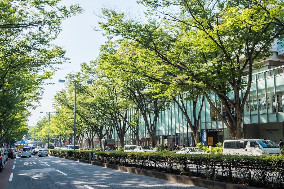 omotesando